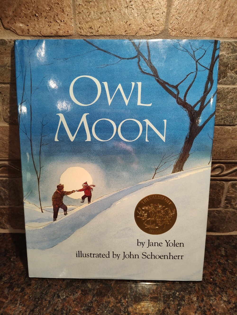 Owl Moon By Jane Yolen, Hardcove